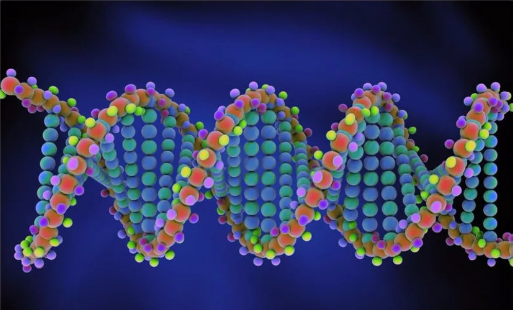 圖(tu)片名稱(cheng)